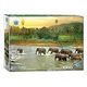 EUROGRAPHICS Save Our Planet Collection - Rainforest, 1000 pieces (6000-5540)