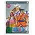 One Piece TV-Serie, Box 33 (DVD)