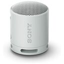 SONY SRS-XB100 Portable Wireless Speaker, Grey
