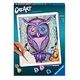 Malen nach Zahlen CreArt: Dreaming Owl (Ravensburger)
