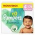 PAMPERS Harmonie Disposable Diapers, Size 4 (9-14kg), Pack of 174