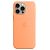 APPLE iPhone 15 Pro Max Silikon Case mit MagSafe, Sorbet Orange (MT1W3ZM/A)