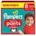 PAMPERS Baby-Dry Pants, Grösse 8 (19+ kg), 117 Stück