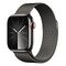 APPLE Watch Series 9 GPS + Cellular, 41mm Edelstahlgehäuse, Graphit mit Milanaise Armband, Graphit (MRJA3QF/A)