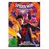 Spider-Man: Across the Spider-Verse (DVD, 2023)