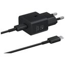 SAMSUNG Fast Charging Adapter with Data Cable, Black (EP-T2510XBEGEU)