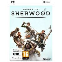 Gangs of Sherwood (Nacon), PC