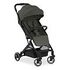 HAUCK Buggy Travel N Care, Dark Olive (160176)