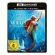 The Little Mermaid (2023) (Blu-ray 4K Ultra-HD, 2023, H.Bailey / J.Hauer-King)