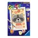 Malen nach Zahlen CreArt: Lovely Racoon (Ravensburger)