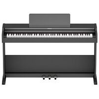 ROLAND RP107, Black