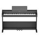 ROLAND RP107, Schwarz