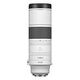 CANON RF 200-800mm F/6.3-9.0 IS USM (6263C003/6263C005)