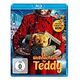 Ein Weihnachtsfest für Teddy