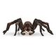 SCHLEICH Wizarding World - Harry Potter: Aragog (13987)