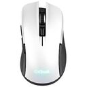 TRUST GXT 923W YBAR Wireless Gaming Mouse, White / Black (24889)