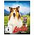 Lassie - Ein neues Abenteuer (Blu-ray, 2023, J. von Dohnanyi / A.L. Gualano)