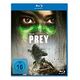 Prey (2022) (Blu-ray, 2022, A.Midthunder / D.Beavers)