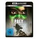 Prey (2022) (Blu-ray 4K Ultra-HD, 2022, A.Midthunder / D.Beavers)