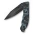 VICTORINOX Evoke BSH Alox, Camouflage (0.9425.DS222)