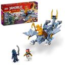 LEGO Ninjago - Young Dragon Riyu (71810)