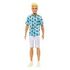 BARBIE Fashionistas - Ken in A Vacation Look (HJT10)