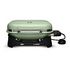 WEBER Lumin, CH version, Green (92070994)