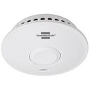 BRENNENSTUHL RM L 3101 (1290210)