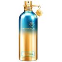 MONTALE Intense So Iris Eau de Parfum Spray 100 ml