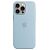 APPLE iPhone 15 Pro Max Silikon Case mit MagSafe, Hellblau [Early 2024] (MWNR3ZM/A)