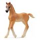 SCHLEICH Horse Club - Araber Fohlen (13984)