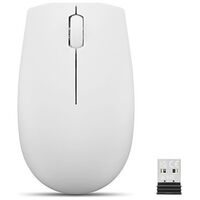 LENOVO 300 Wireless Compact Mouse, Cloud Grey (GY51L15677)