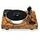 PRO-JECT Xtension 10 Evolution Superpack, Walnut Root Matte