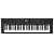 ROLAND GO:KEYS 5, Graphite (GOKEYS5-GT)