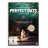 Perfect Days (DVD, 2023, A.Nakano / K.Yakusho)