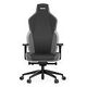 RECARO Rae Essential Gaming Chair, Schwarz / Grau (R014.002.001.10.00)