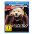 Hachiko - Eine Freundschaft für die Ewigkeit! (Blu-ray, 2023, J.Chen / F.Xiaogang)