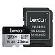 LEXAR Silver Plus microSDXC, UHS-I U3, 256GB (LMS1066256G-BNAAG)
