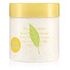 ELIZABETH ARDEN Green Tea Citron Freesia Honey Drops Body Cream 500 ml