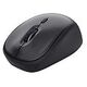 TRUST TM-201 Compact Wireless Mouse, Schwarz (24706)