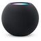 APPLE HomePod mini, Midnight (MTJT3)
