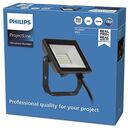 PHILIPS ProjectLine Outdoor Floodlight 10W, 6500K (8719514954588)