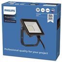 PHILIPS ProjectLine Outdoor Floodlight 10W, 4000K (8719514954496)