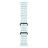 APPLE Ocean Band 49mm (Black Titanium), Ice Blue [Late 2024] (MYP83ZM/A)