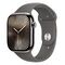 APPLE Watch Series 10 GPS + Cellular, 46mm Titangehäuse, Natur mit Sportarmband M/L, Steingrau (MWYA3QF/A)
