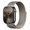 APPLE Watch Series 10 GPS + Cellular, 46mm Titangehäuse, Natur mit Milanaise Armband M/L (MWYC3QF/A)