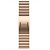 APPLE Gliederarmband 42mm, Gold [Late 2024] (MXMC3ZM/A)
