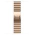 APPLE Link Bracelet 42mm, Gold [Late 2024] (MXMC3ZM/A)