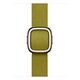 APPLE Moderne Schliesse 42mm, Chartreuse, Medium [Late 2024] (MXW73ZM/A)