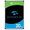 SEAGATE SkyHawk AI + Rescue, 20 TB (ST20000VE003)